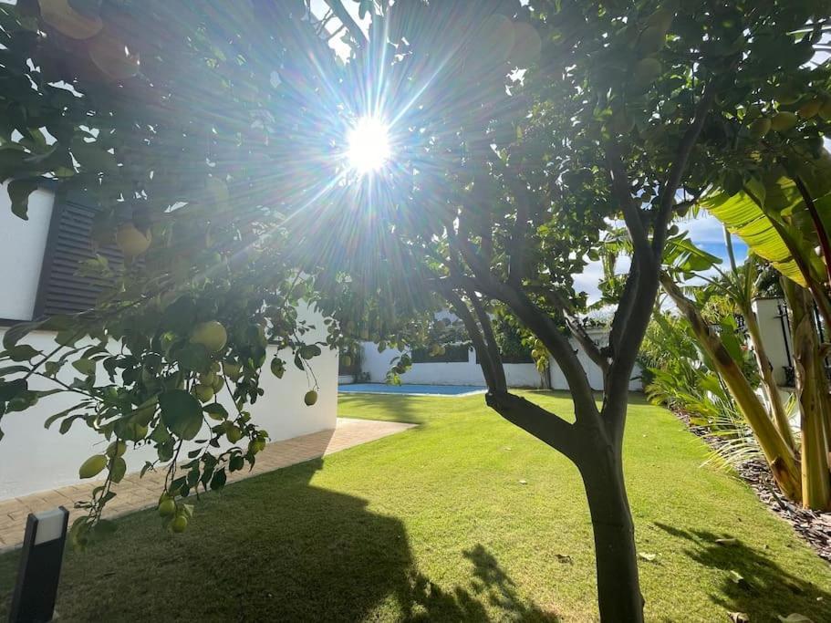 Sunset Villa Arcos アルコス・デ・ラ・フロンテーラ エクステリア 写真