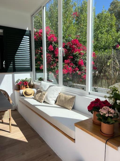 Sunset Villa Arcos アルコス・デ・ラ・フロンテーラ エクステリア 写真